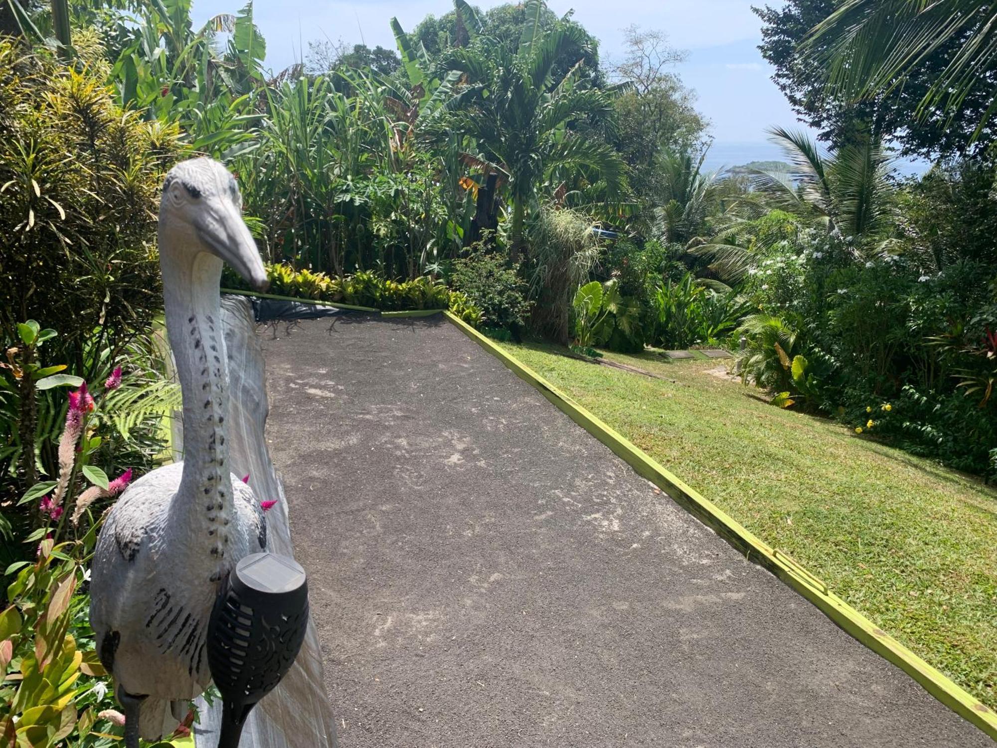 Les Ilets Caraibes Vue Mer Bouillante Exterior foto